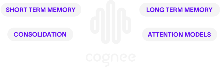 Cognee processing